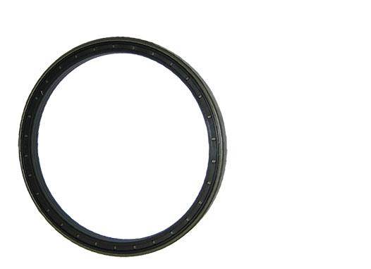 Hub Seal Corteco 165 X 190 X 15.5/17 - 3015376X1, 3019959X1, 87319584, 87309584, 3426809M1, 5137109, 3429004X1, 3429791M1, 5177708, 12001925, 3429004X1, 5184116, 72717109, 84251055