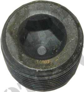 Plug 3/8" 135 165 Lift Cover 3/8" BSP ,*, S40872, 825031M1, 825031M2, 10650594, 12431131, 195567M1, 356032X1, 365332X1,